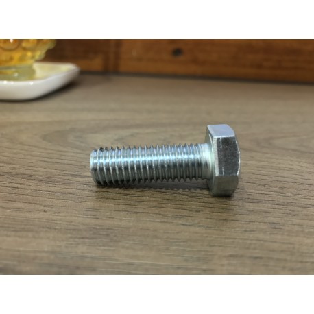 Parafuso para tala de guia T70-1/B - M12*35